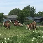 Skorstensfejerens Oda ve Kahvaltı Bogense