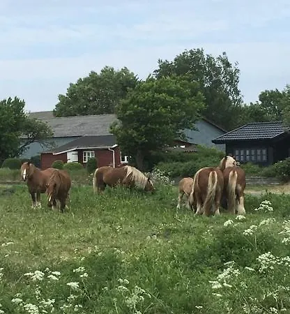 Skorstensfejerens Frühstückspension Bogense