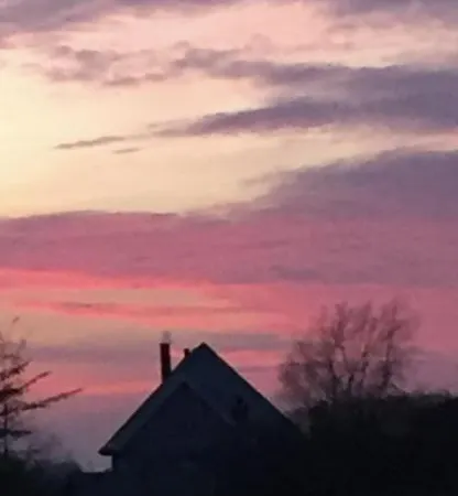 Skorstensfejerens * בוגנזה