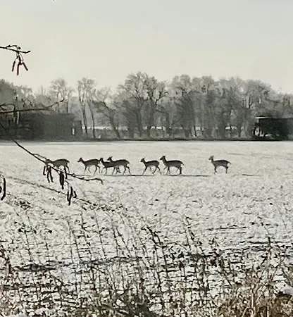 Skorstensfejerens לינה וארוחת בוקר *