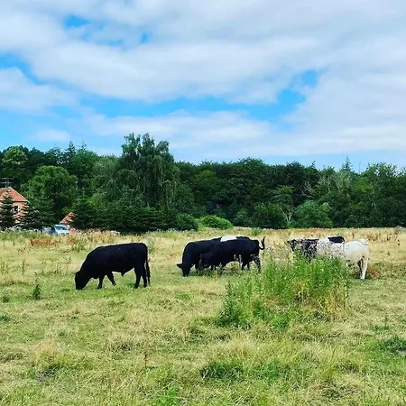 Bed & Breakfast Skorstensfejerens Bogense