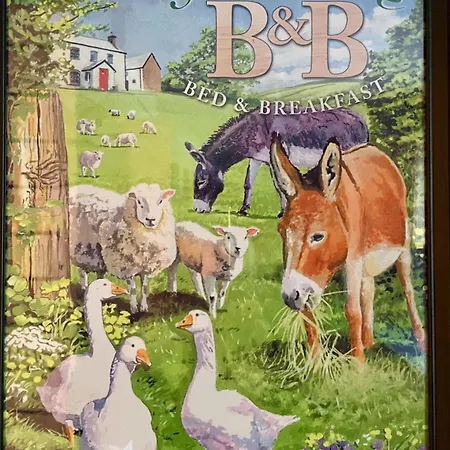 Skorstensfejerens * בוגנזה