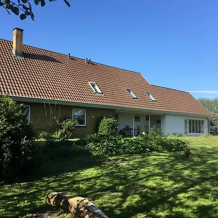 Skorstensfejerens