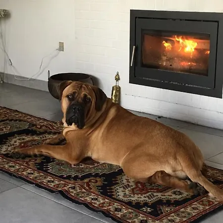 Skorstensfejerens Bed & Breakfast Bogense