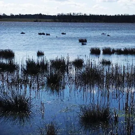 Skorstensfejerens