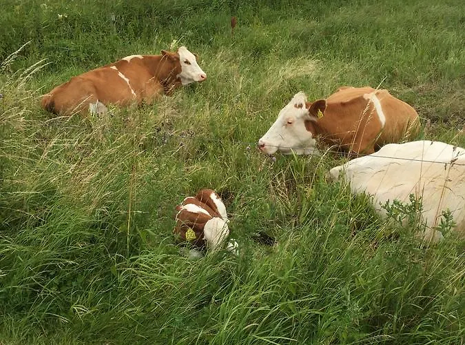 Frühstückspension Skorstensfejerens