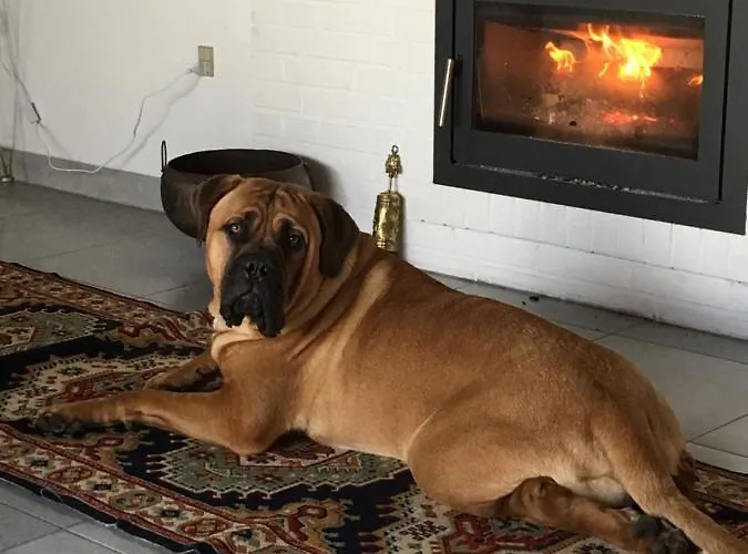 Skorstensfejerens Frühstückspension Bogense